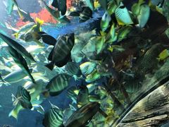 -沈阳海洋探索中心