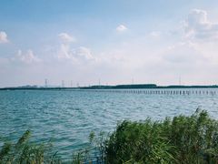 -漕湖湿地公园