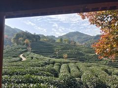 -野蔓果·山野菜(西湖景区·龙井茶田店)