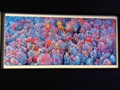 -罗红摄影艺术馆