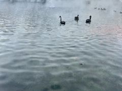 -水磨沟公园