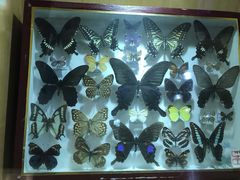 -陕西自然博物馆