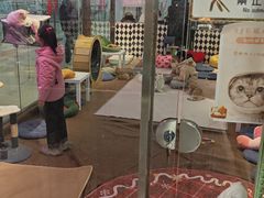 -大型宠物商超·宠海王国·宠物猫狗活体·用品·美容(新世界百货重庆店)