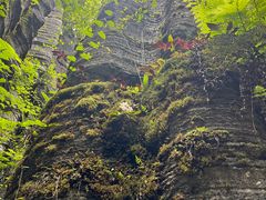 -梭布垭石林景区