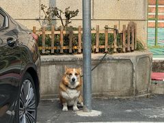 -老虎灶小吃