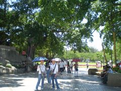 -原巷口鱼丸店(龙头路外卖店)