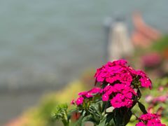 -湖畔居茶楼(湖滨店)