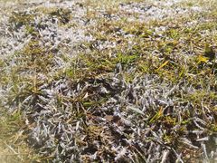 -四姑娘山阿巴郎·藏式花园餐厅