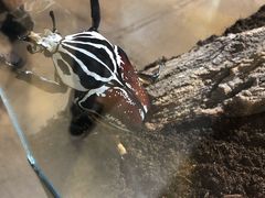 -燕莎友谊商城(亮马桥店)