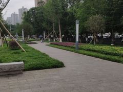 -龙头寺公园