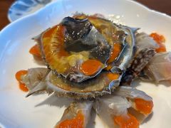 -高佳庄·舟山海鲜(海景旗舰店)