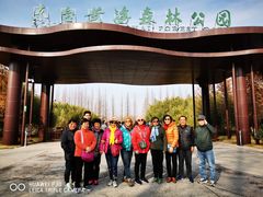 -黄海国家森林公园