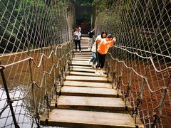 -中国大熊猫保护研究中心雅安碧峰峡基地