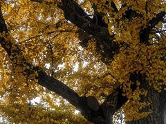 -清华大学玉泉医院