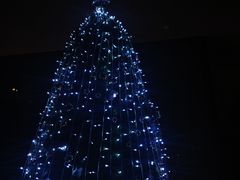 -博林天瑞喜来登酒店·西丽尚膳