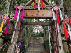 -西双版纳原始森林公园