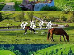 -赛里木湖风景名胜区
