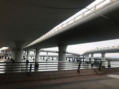 -演武大桥观景平台