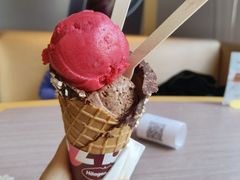 -哈根达斯(石家庄北国店)