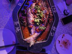 -巴特餐饮6加1音乐餐吧·新疆菜