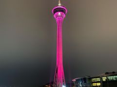 -澳门环岛游湾仔码头