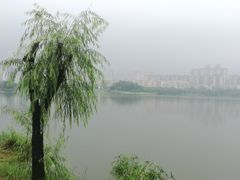 -飞来湖湿地公园