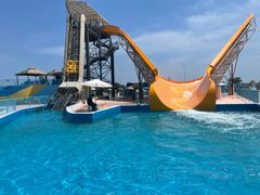 -秦皇岛乐岛海洋王国