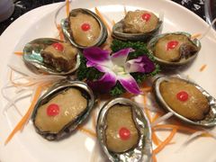 鲜活小鲍鱼-大拙里·精致融合菜(沙湖桃源国际店)