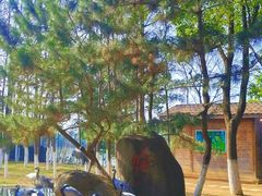 -艾溪湖湿地公园