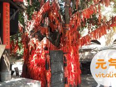 -白鹿原影视城