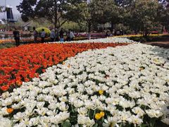 -上海鲜花港