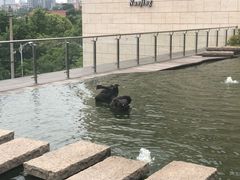 -行者书屋大堂吧 ·下午茶(南京圣和府邸酒店)