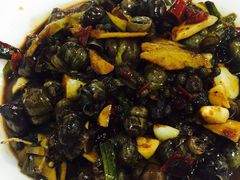 -大萝卜烧烤羊蝎子烤全羊(新城河路店)