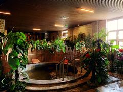 -泉城欧乐堡戏水湾艺术养生温泉