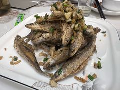 -宝荣鱼馆·临湖之宴(千岛湖店)