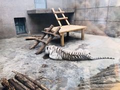 -西安秦岭野生动物园