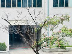 -苏州市相城人民医院