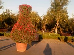 -廊坊文化艺术中心