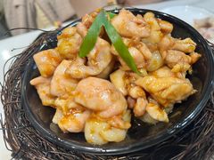 -丁老爷子苏香圆