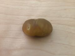 -阿男野栗王(金门路店)