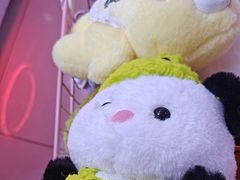 -探险阳光乐园(东区利和店)