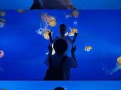 -太平洋海底世界