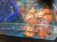 -盒马鲜生(曜一城店)