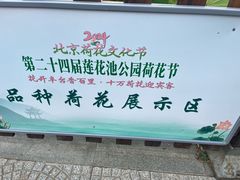 -莲花池公园