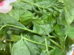 -花水湾红太阳牛肉汤锅
