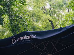 -JamaicaBlue(新城国际店)