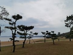 -法雨寺餐厅