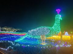 -云幽谷旅游区