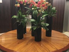 -新加坡文华东方酒店