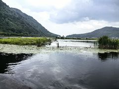 -腾冲北海湿地